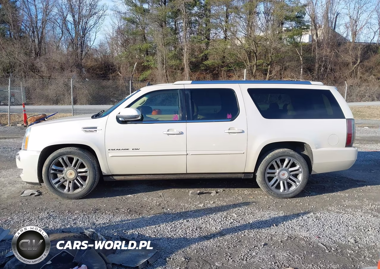 2013 Cadillac Escalade Esv Premium VIN:1GYS4JEF3DR114022 - 14