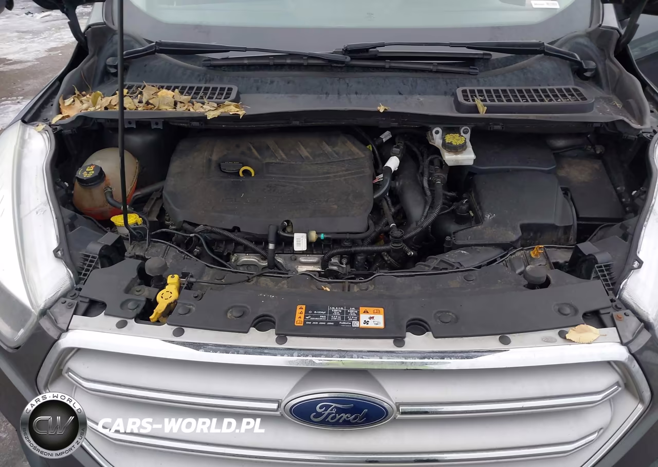 2017 Ford Escape Se VIN:1FMCU9GD3HUC26032 - 10