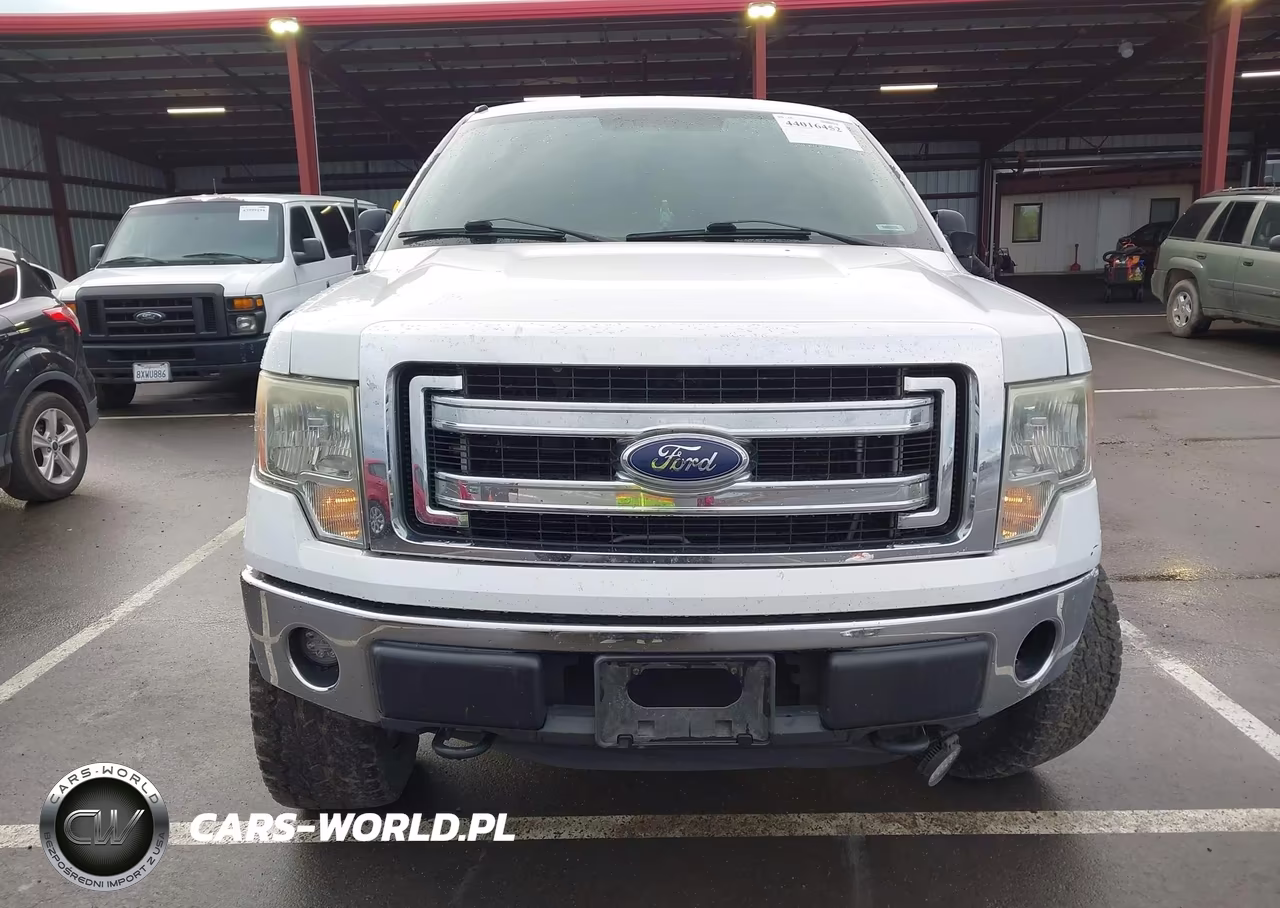 2013 Ford F-150 Xlt VIN:1FTFW1EF9DFC06173 - 12
