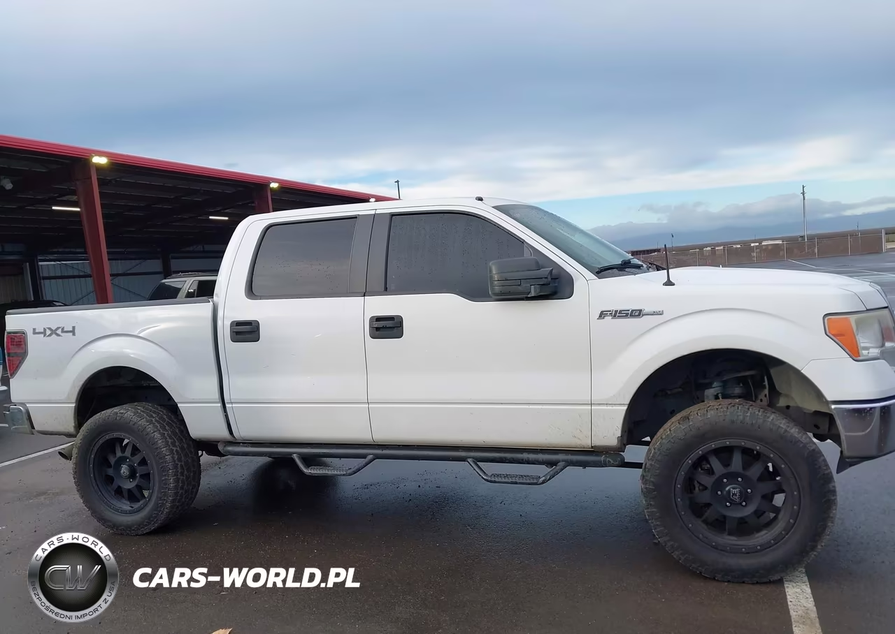2013 Ford F-150 Xlt VIN:1FTFW1EF9DFC06173 - 13