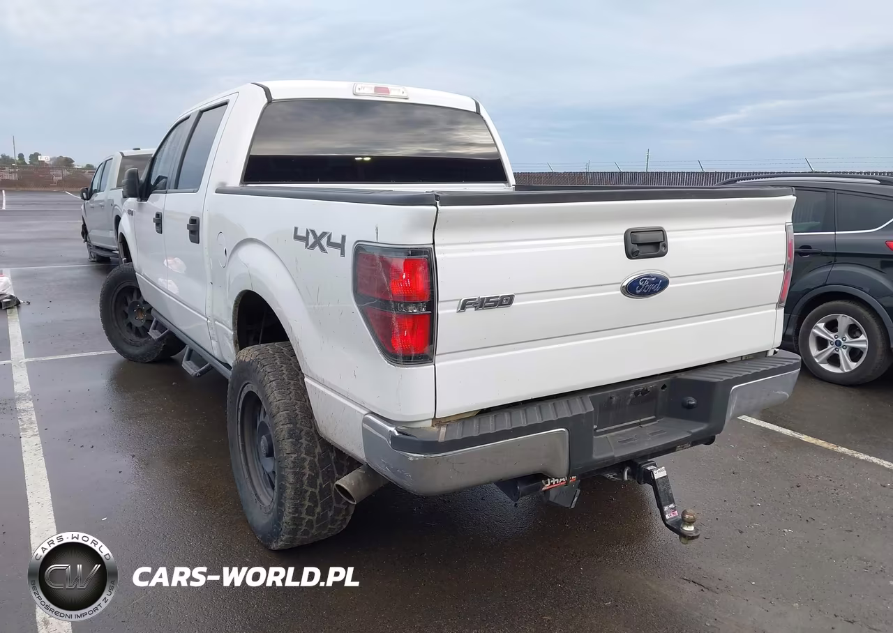 2013 Ford F-150 Xlt VIN:1FTFW1EF9DFC06173 - 3