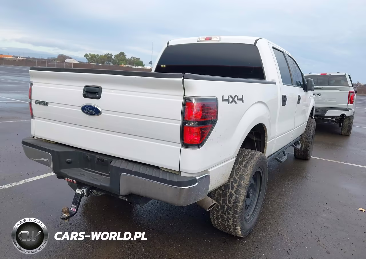 2013 Ford F-150 Xlt VIN:1FTFW1EF9DFC06173 - 4