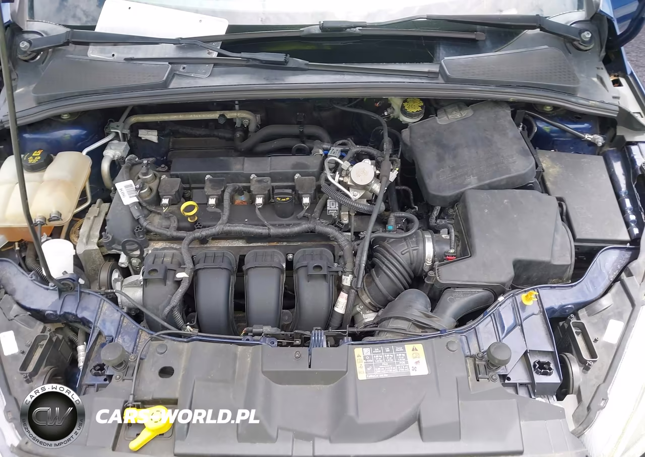 2016 Ford Focus Se VIN:1FADP3F23GL368811 - 10