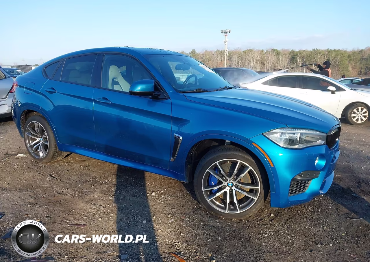 2015 BMW X6 M