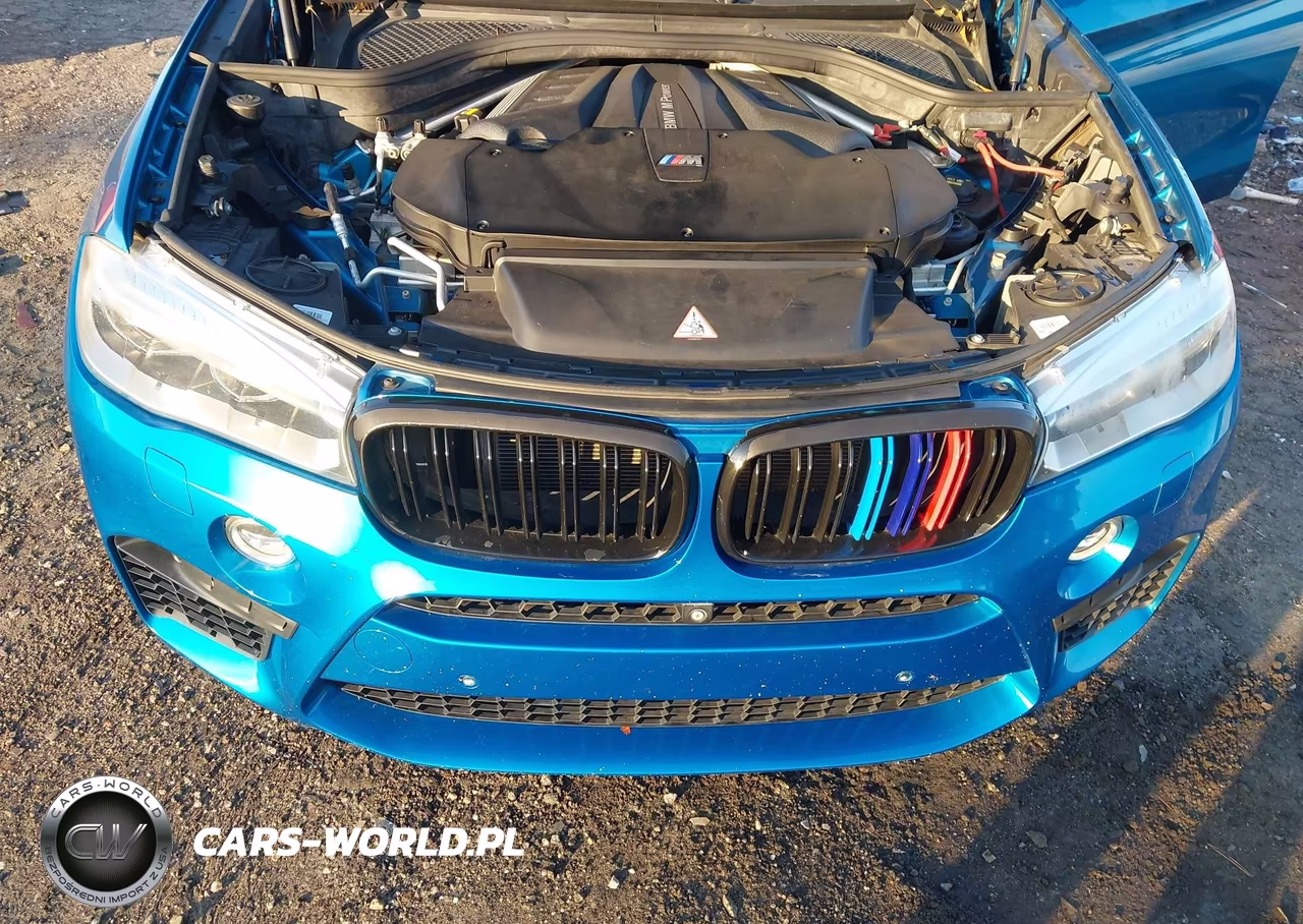 2015 BMW X6 M VIN:5YMKW8C56F0R42762 - 10