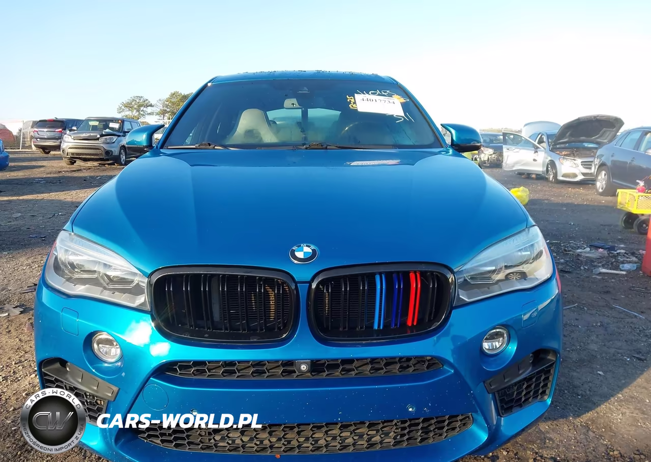 2015 BMW X6 M VIN:5YMKW8C56F0R42762 - 12