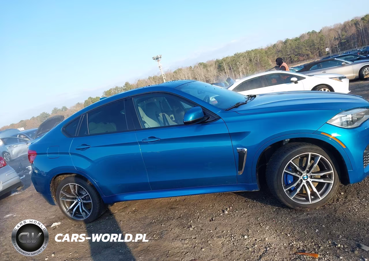 2015 BMW X6 M VIN:5YMKW8C56F0R42762 - 13