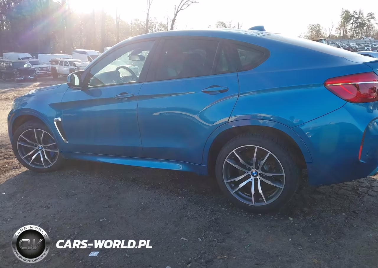 2015 BMW X6 M VIN:5YMKW8C56F0R42762 - 14