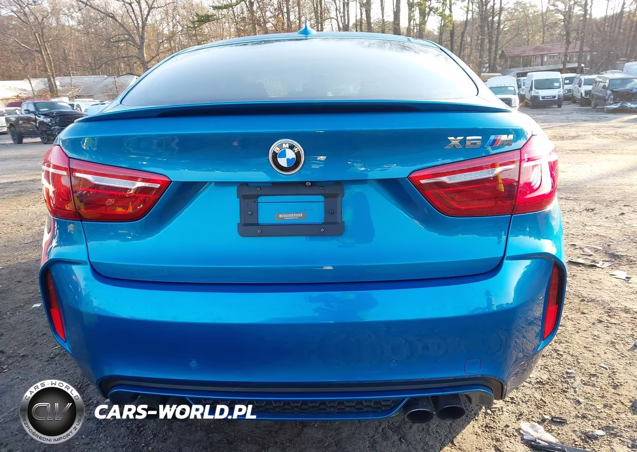 2015 BMW X6 M VIN:5YMKW8C56F0R42762 - 16