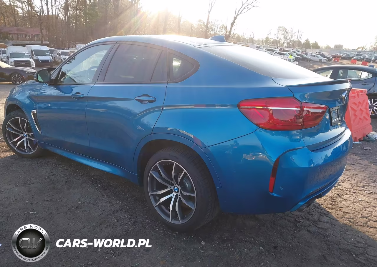 2015 BMW X6 M VIN:5YMKW8C56F0R42762 - 3
