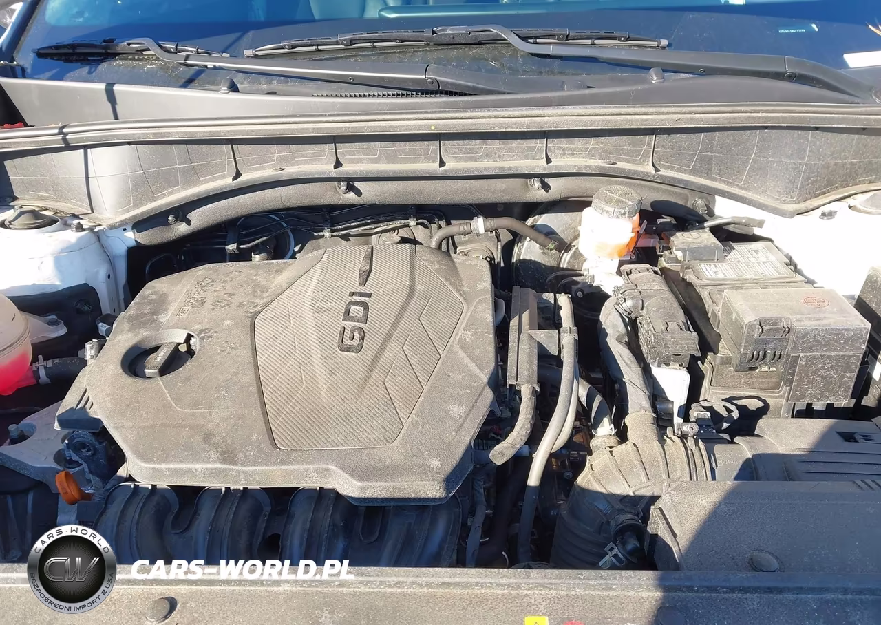 2024 Kia Sorento S VIN:5XYRL4JC5RG277104 - 10