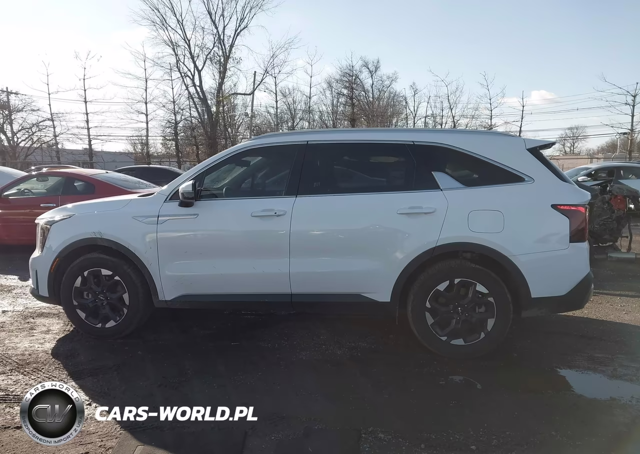 2024 Kia Sorento S VIN:5XYRL4JC5RG277104 - 14