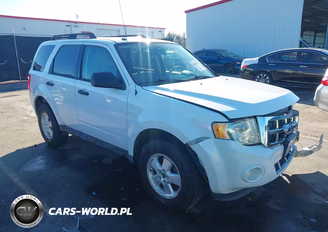 2010 Ford Escape Xlt