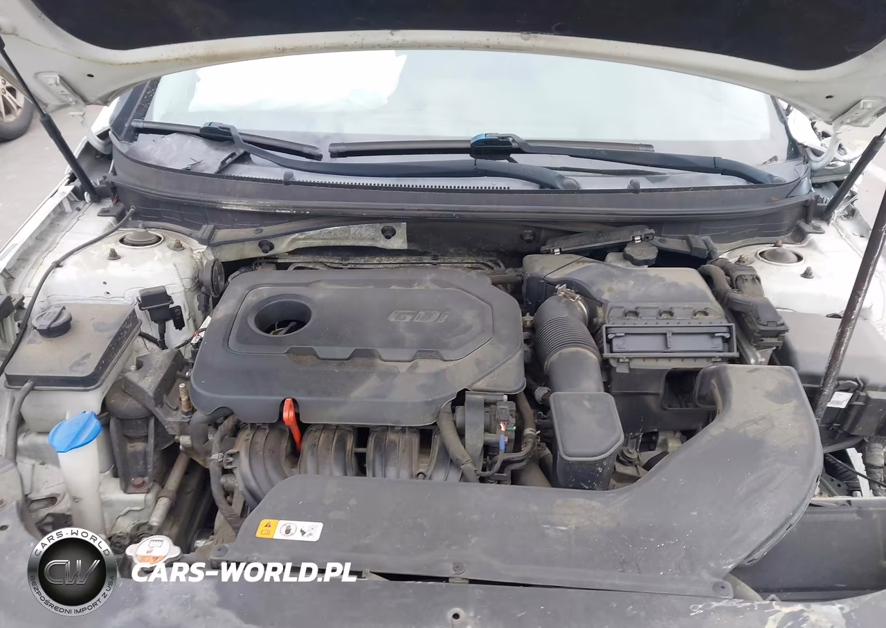 2016 Hyundai Sonata Sport VIN:5NPE34AF2GH434117 - 10