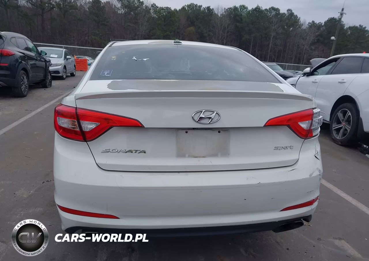 2016 Hyundai Sonata Sport VIN:5NPE34AF2GH434117 - 16