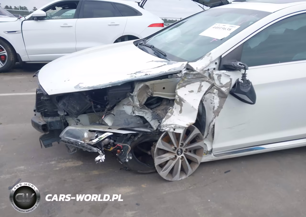 2016 Hyundai Sonata Sport VIN:5NPE34AF2GH434117 - 6