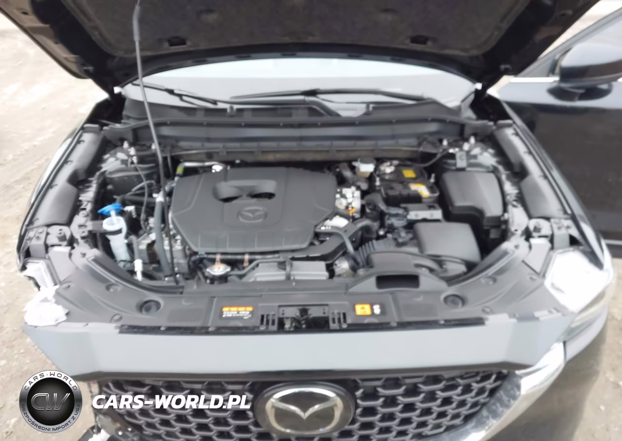 2025 Mazda Cx-5 2.5 S Preferred VIN:JM3KFBCM3S0688264 - 10