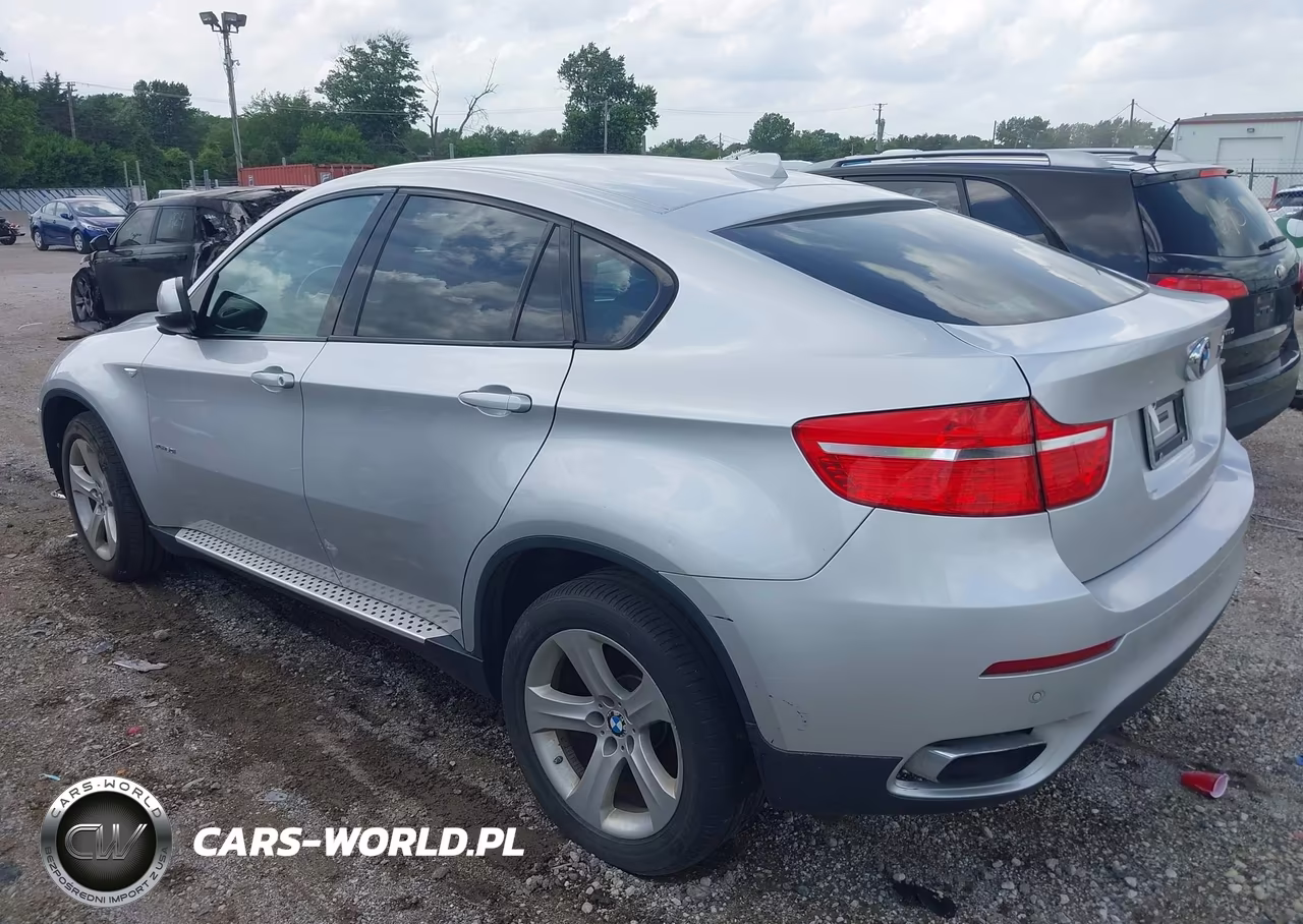2009 BMW X6 xDrive50I VIN:5UXFG83599LZ93357 - 3