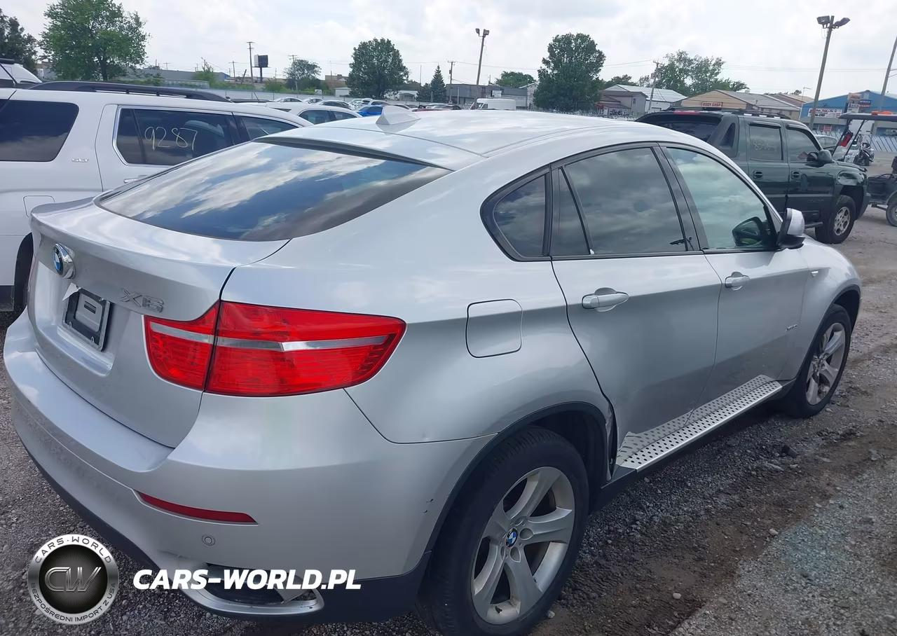 2009 BMW X6 xDrive50I VIN:5UXFG83599LZ93357 - 4