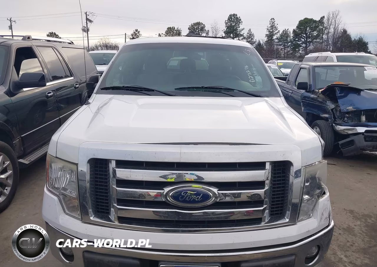 2011 Ford F-150 Xlt VIN:1FTFX1CF1BFD27275 - 12