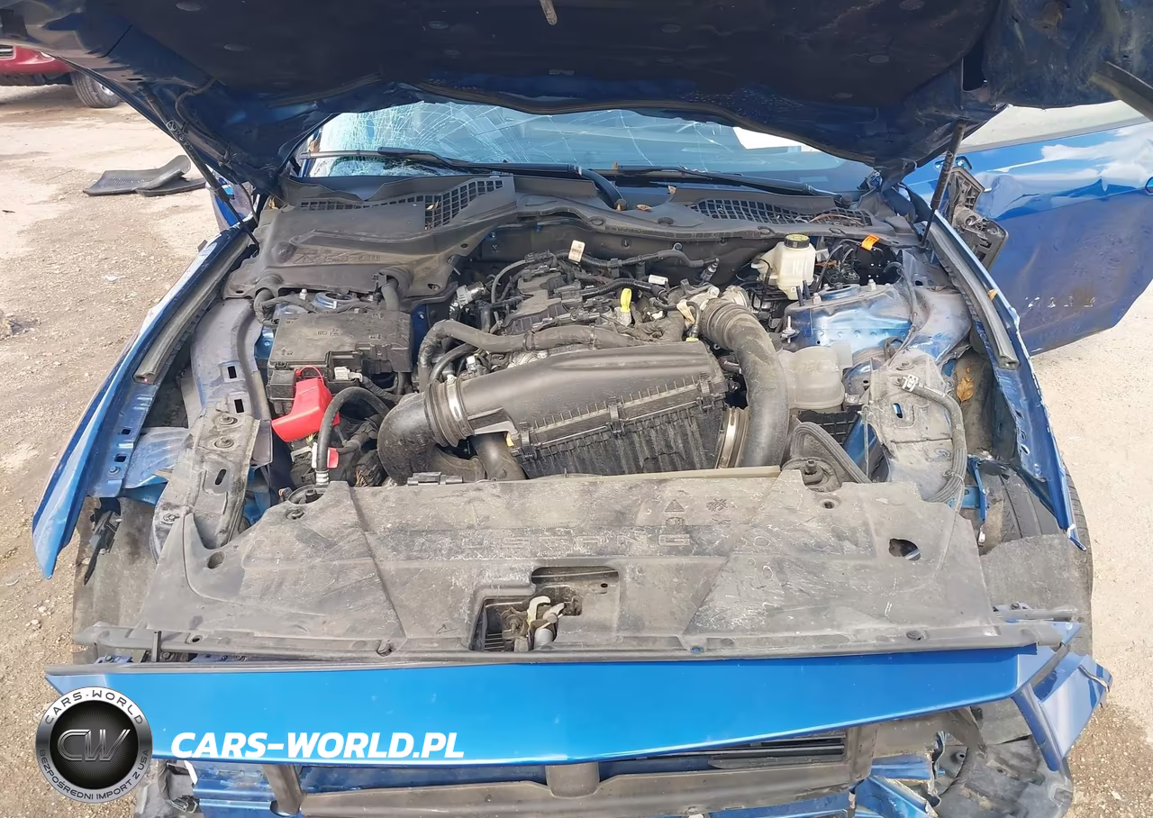 2024 Ford Mustang Ecoboost Premium Fastback VIN:1FA6P8TH6R5111955 - 10