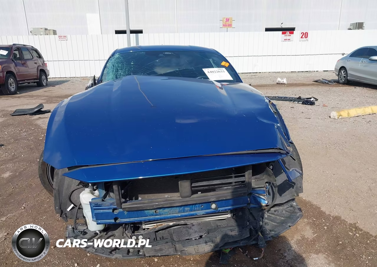 2024 Ford Mustang Ecoboost Premium Fastback VIN:1FA6P8TH6R5111955 - 12
