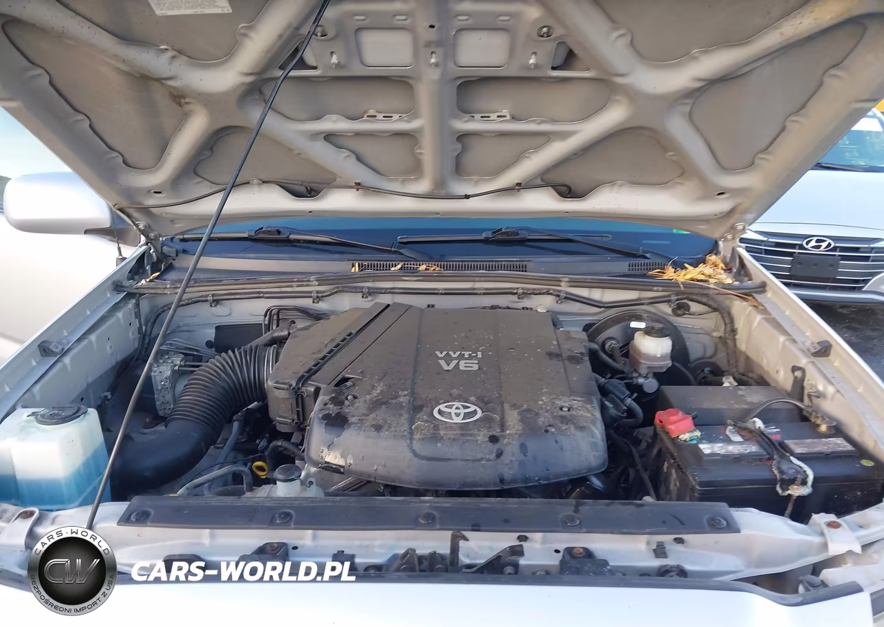 2010 Toyota Tacoma V6 VIN:5TEMU4FN7AZ729677 - 10