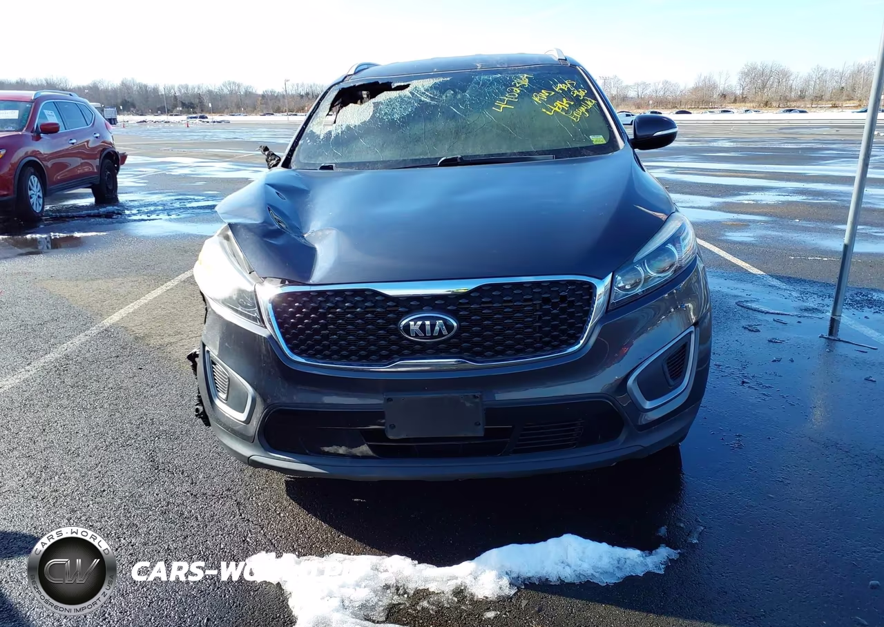 2017 Kia Sorento 2.4L Lx VIN:5XYPGDA3XHG206328 - 12