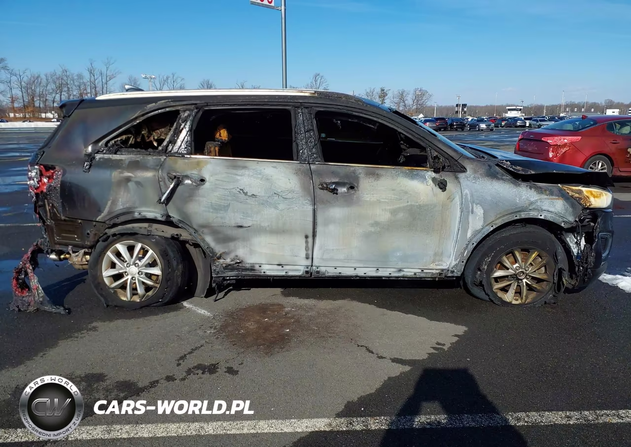 2017 Kia Sorento 2.4L Lx VIN:5XYPGDA3XHG206328 - 13