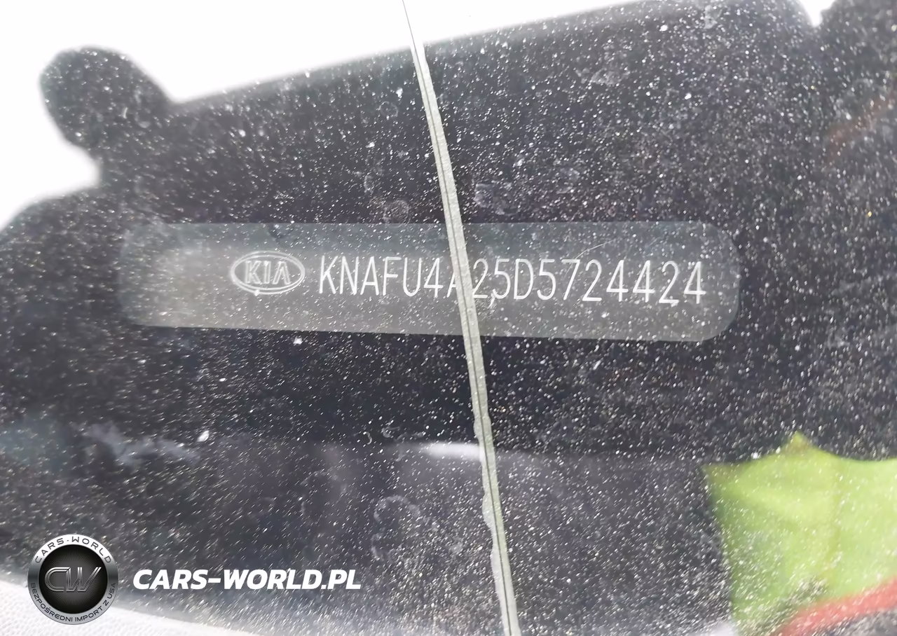 2013 Kia Forte Ex VIN:KNAFU4A25D5724424 - 9