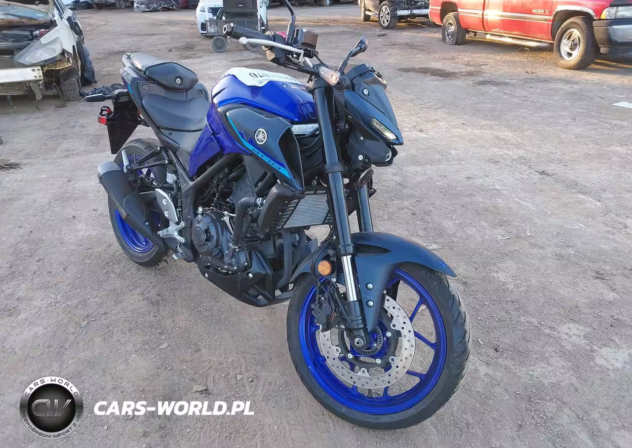 2025 Yamaha Mtn320 A