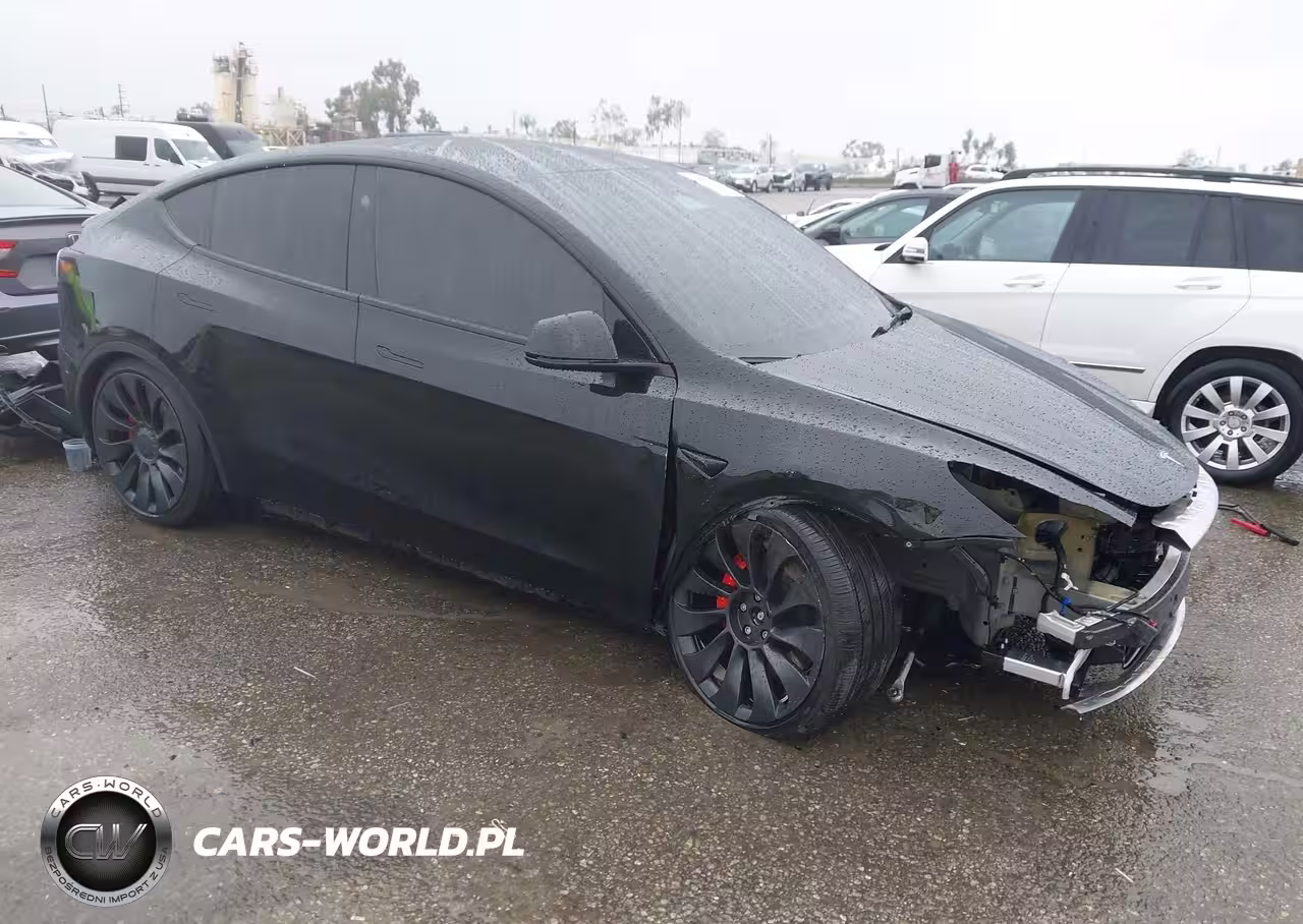 2024 Tesla Model Y Performance Dual Motor All-Wheel Drive