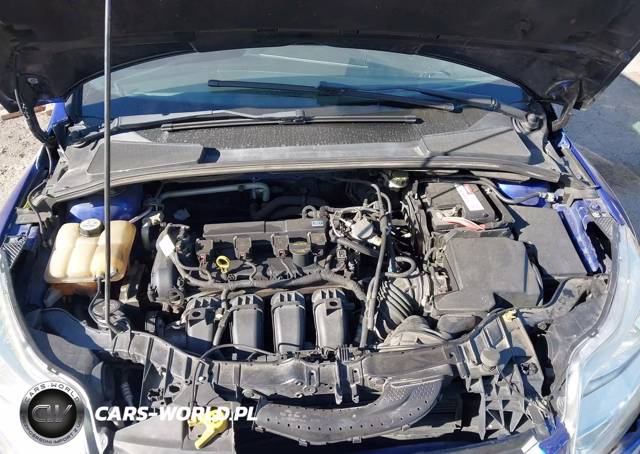 2013 Ford Focus Titanium VIN:1FADP3N26DL265041 - 10