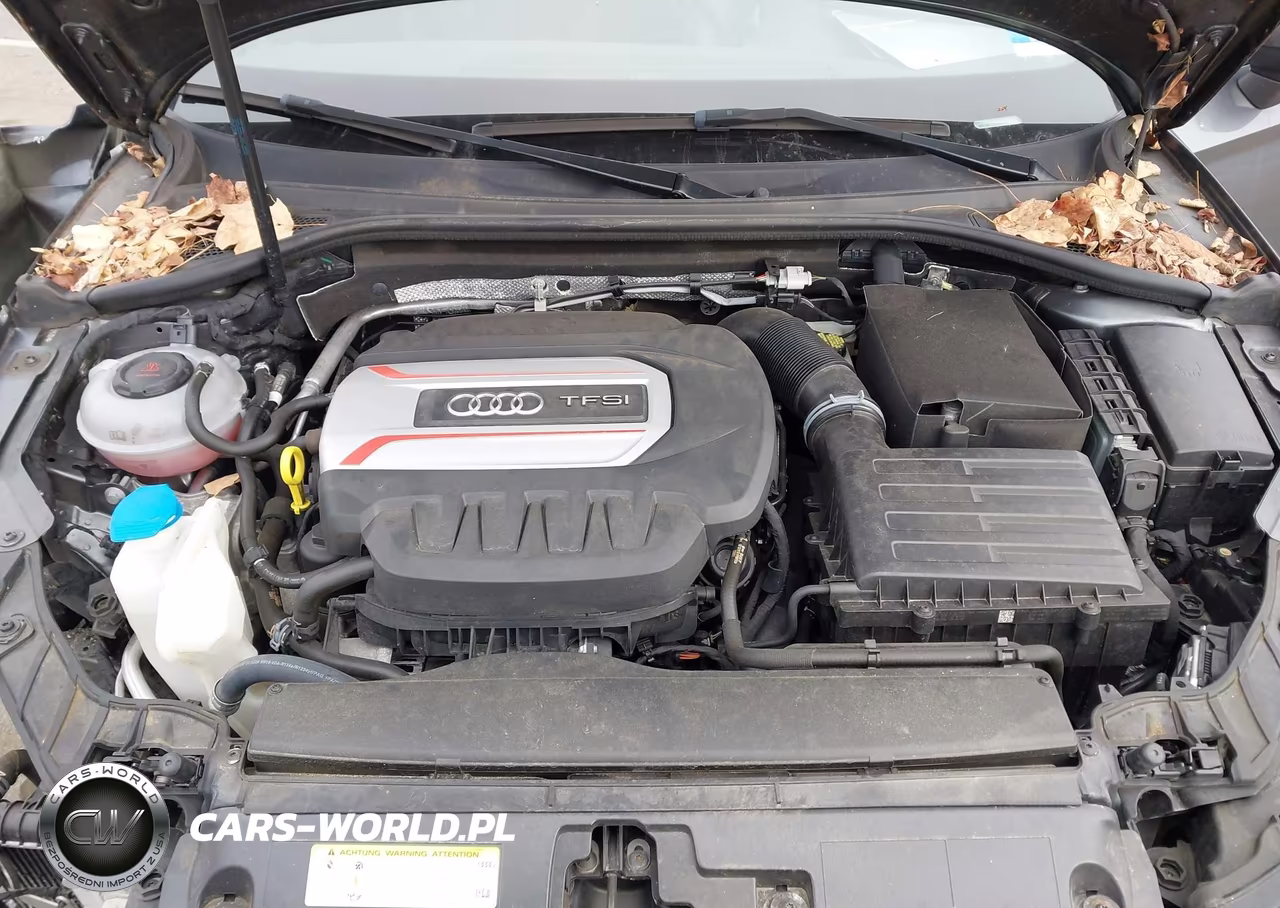 2018 Audi S3 2.0T Premium Plus-2.0T Tech Premium Plus VIN:WAUB1GFF8J1083258 - 10