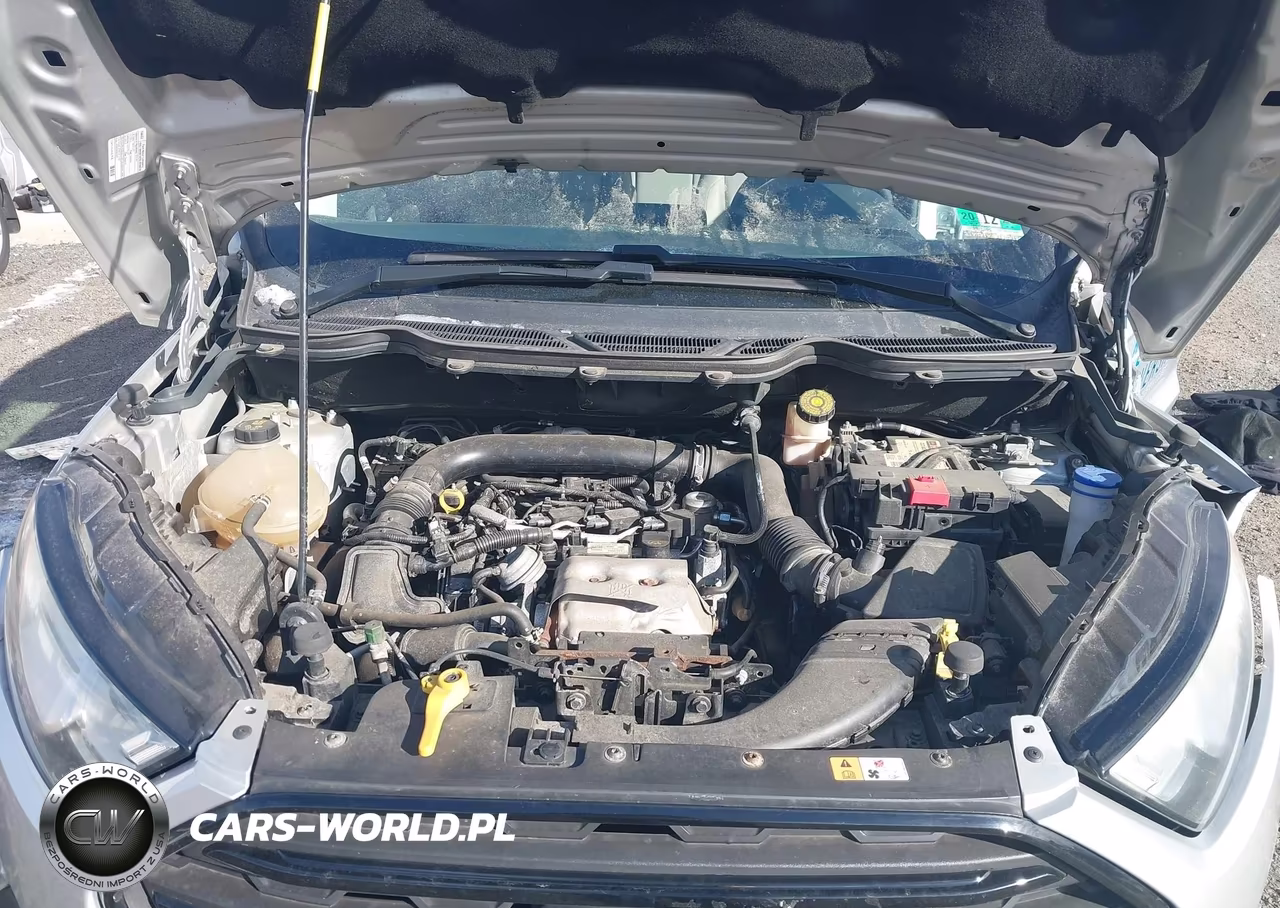 2018 Ford Ecosport S VIN:MAJ3P1RE3JC223961 - 10