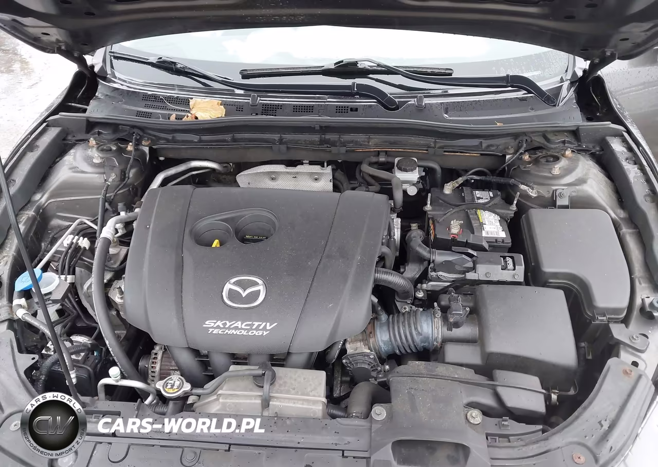 2014 Mazda Mazda3 I Touring VIN:JM1BM1L72E1100601 - 10