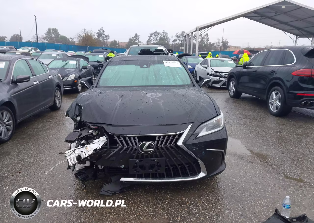 2025 Lexus Es 300H VIN:58ADA1C15SU069243 - 13