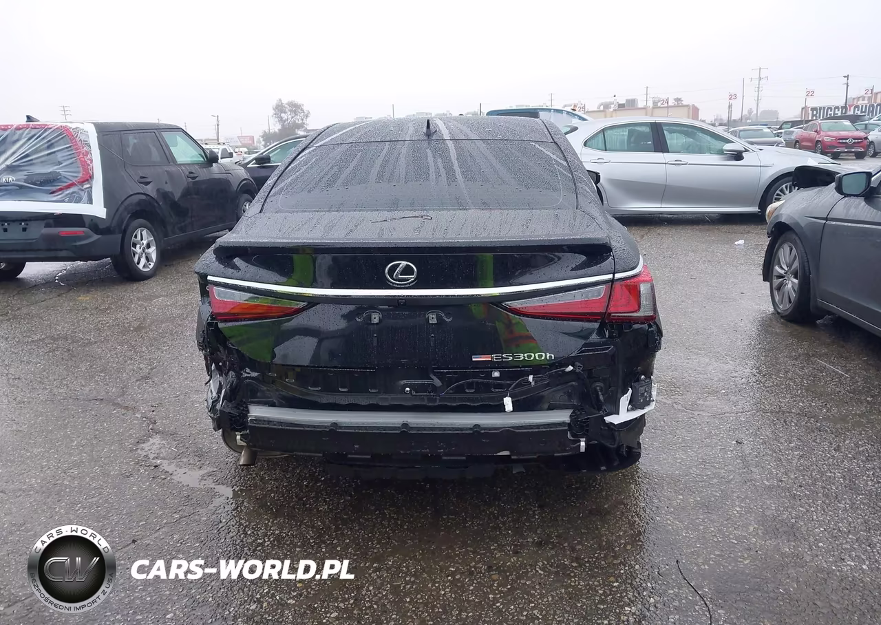 2025 Lexus Es 300H VIN:58ADA1C15SU069243 - 17