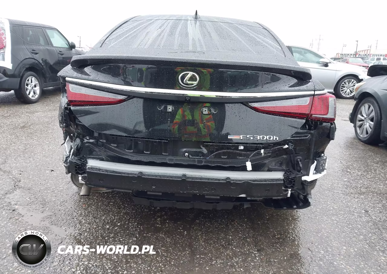 2025 Lexus Es 300H VIN:58ADA1C15SU069243 - 19
