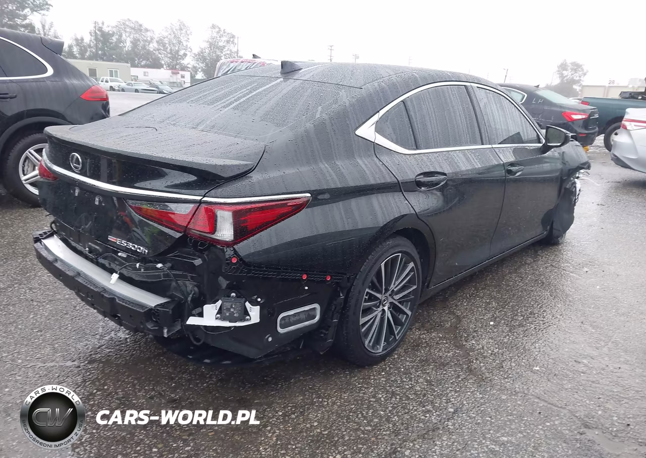 2025 Lexus Es 300H VIN:58ADA1C15SU069243 - 4