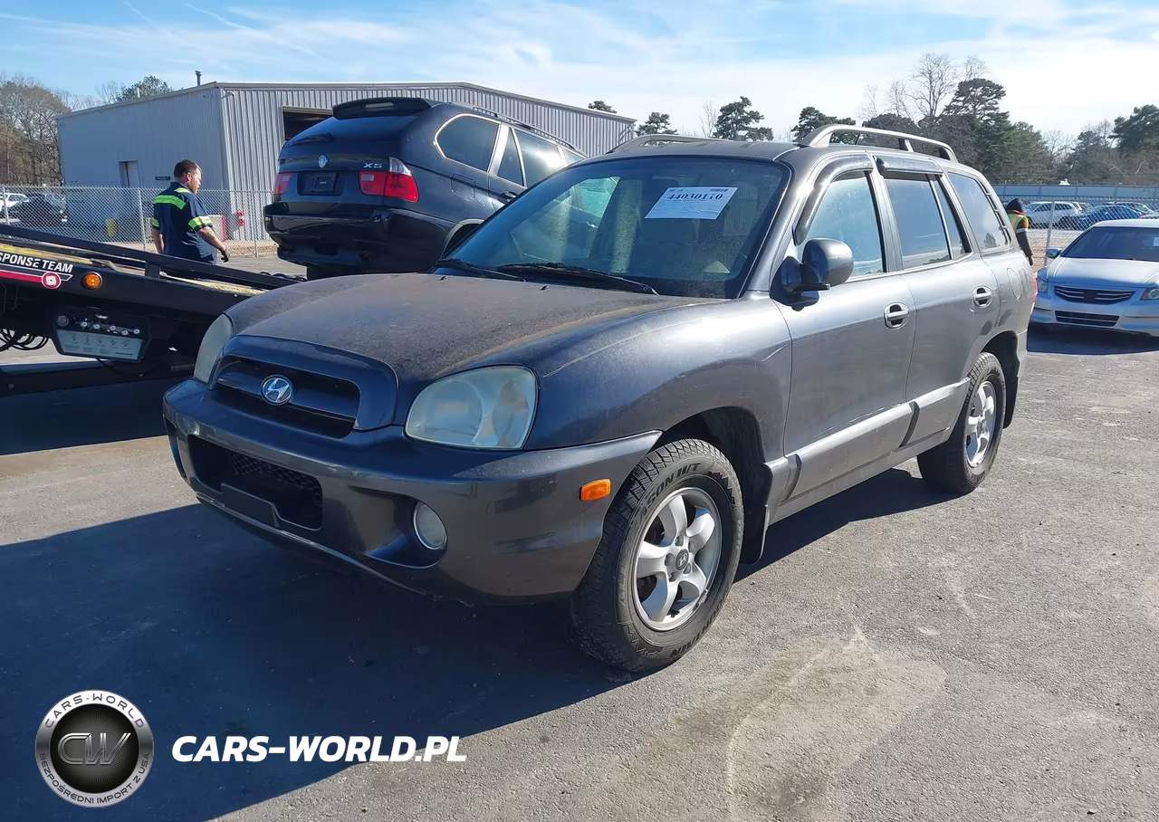 2006 Hyundai Santa Fe Gls-Limited VIN:KM8SC13E16U039786 - 2