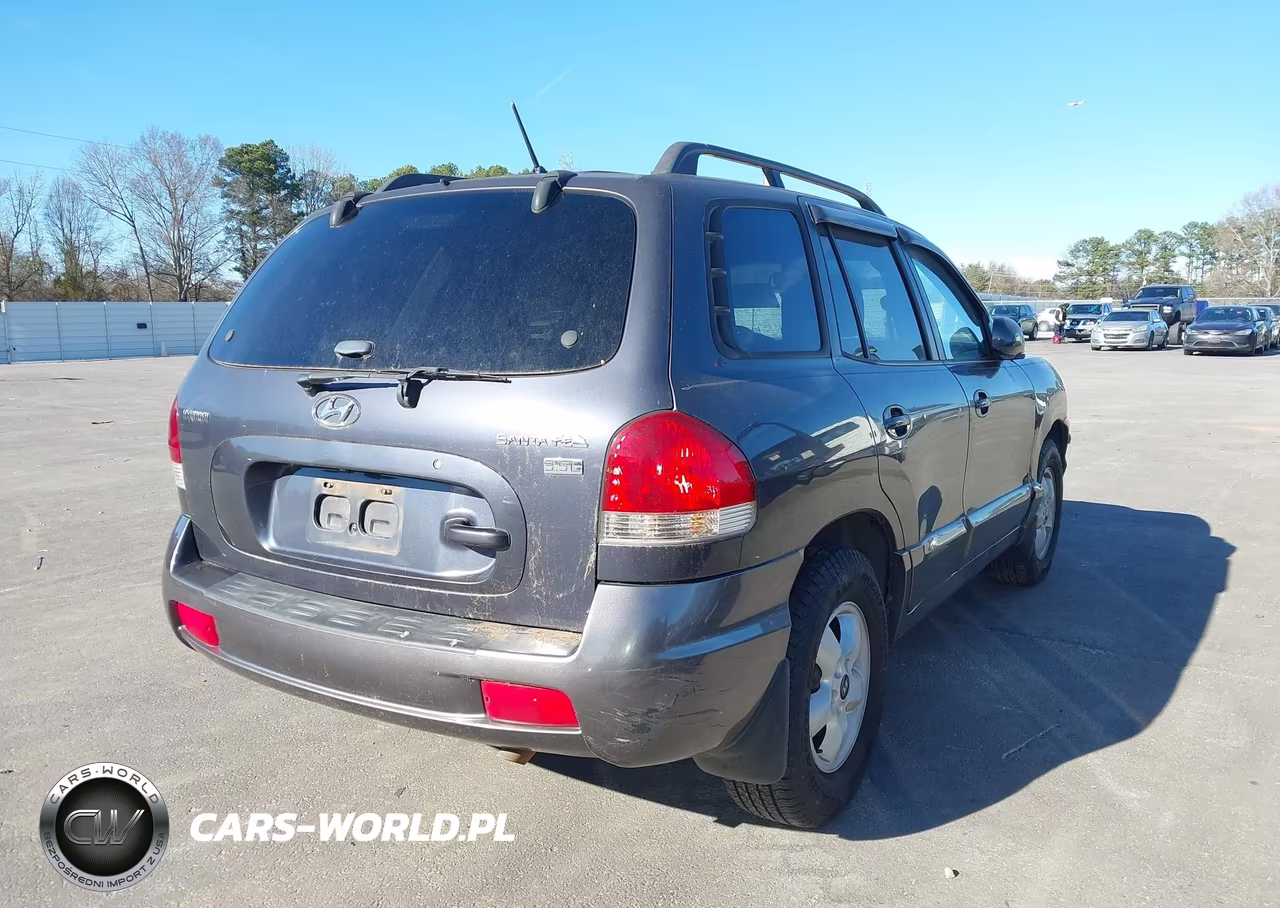2006 Hyundai Santa Fe Gls-Limited VIN:KM8SC13E16U039786 - 4