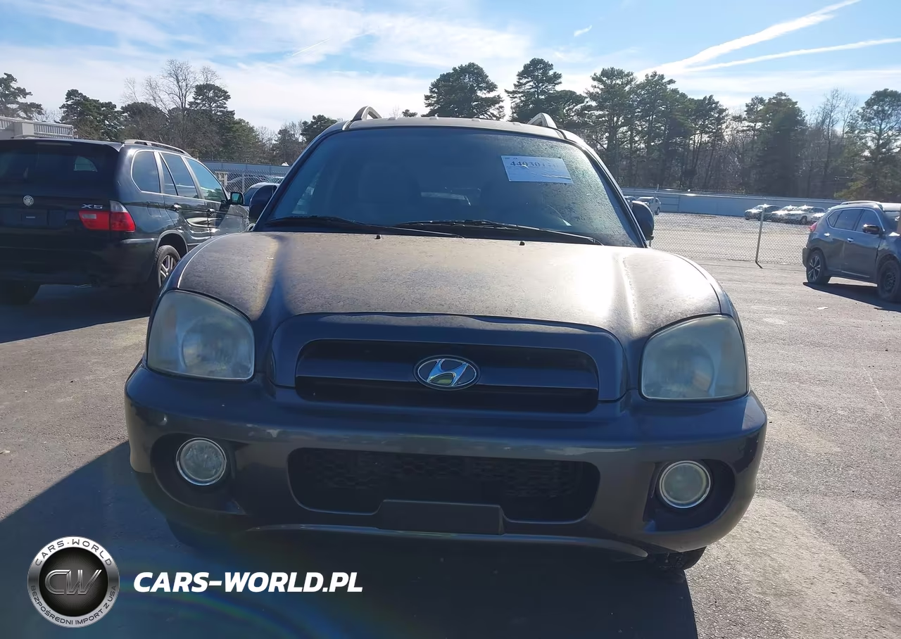 2006 Hyundai Santa Fe Gls-Limited VIN:KM8SC13E16U039786 - 6
