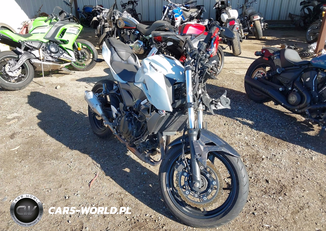 2023 Kawasaki Er400 D