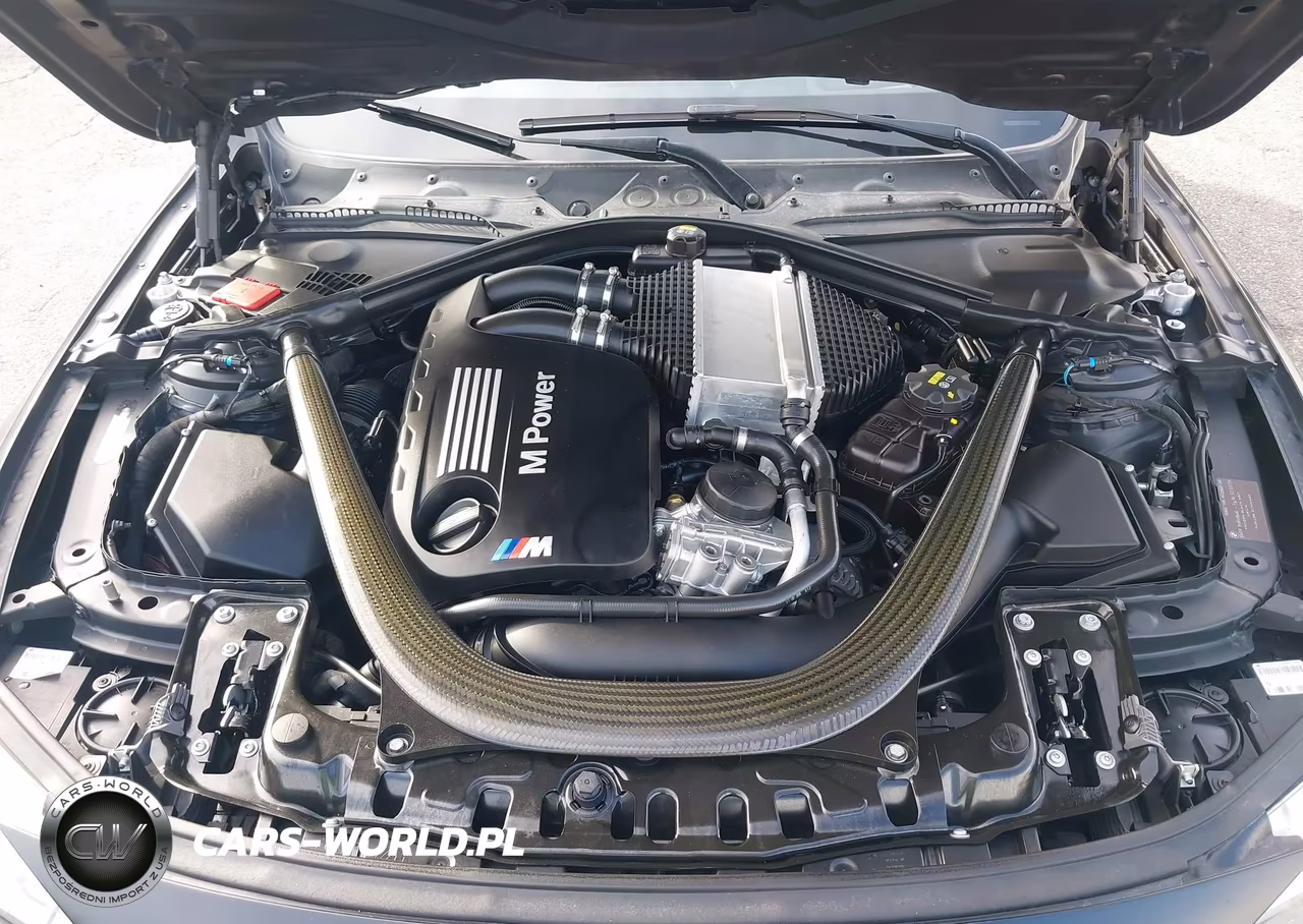 2016 BMW M3 VIN:WBS8M9C54G5D31739 - 10