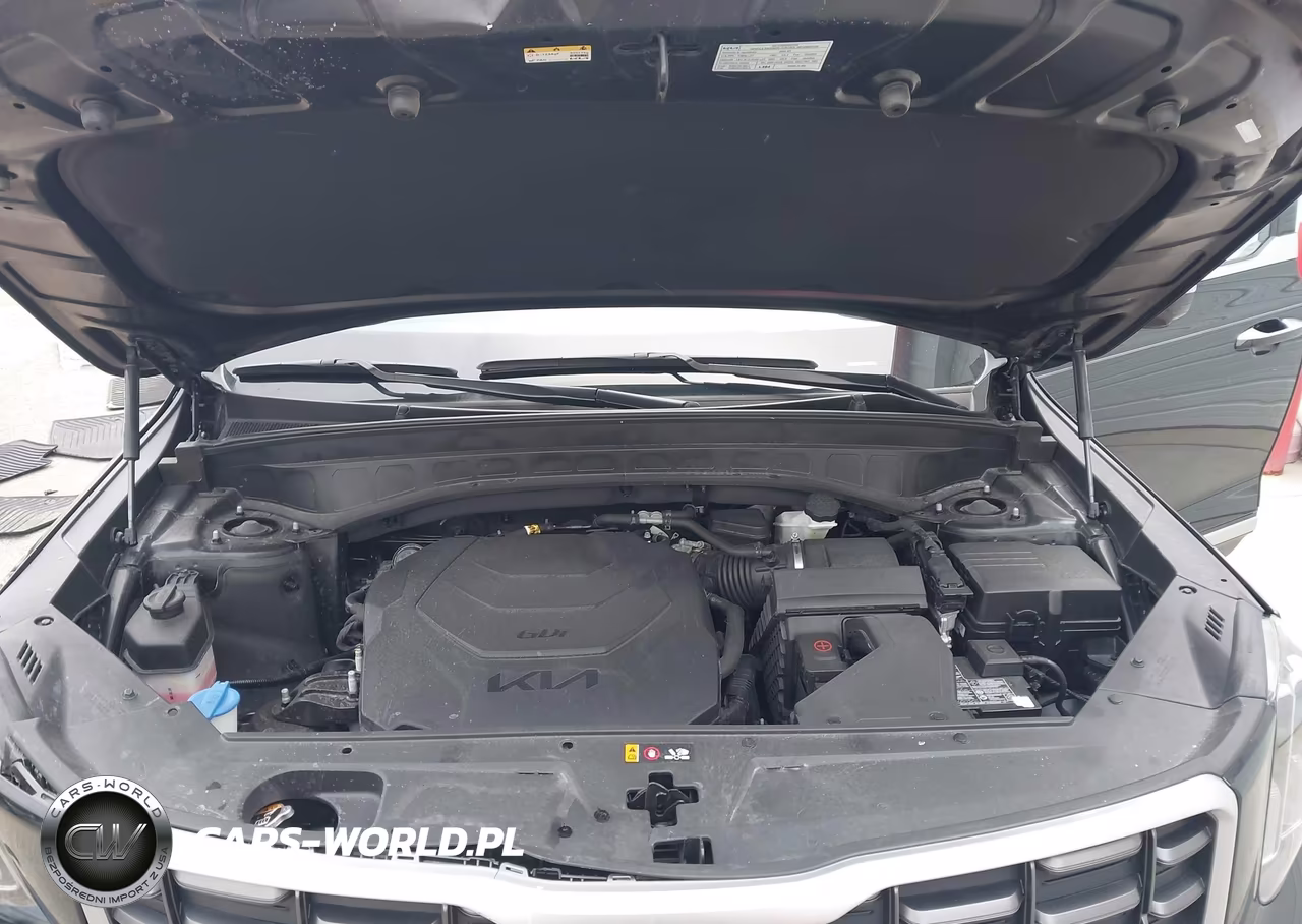 2024 Kia Telluride Sx Prestige VIN:5XYP5DGC0RG417228 - 10