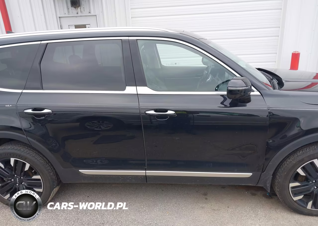 2024 Kia Telluride Sx Prestige VIN:5XYP5DGC0RG417228 - 13