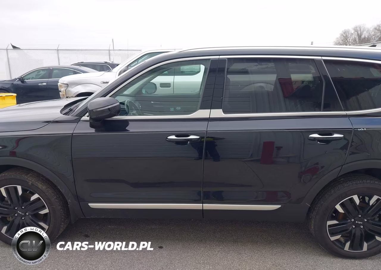 2024 Kia Telluride Sx Prestige VIN:5XYP5DGC0RG417228 - 14