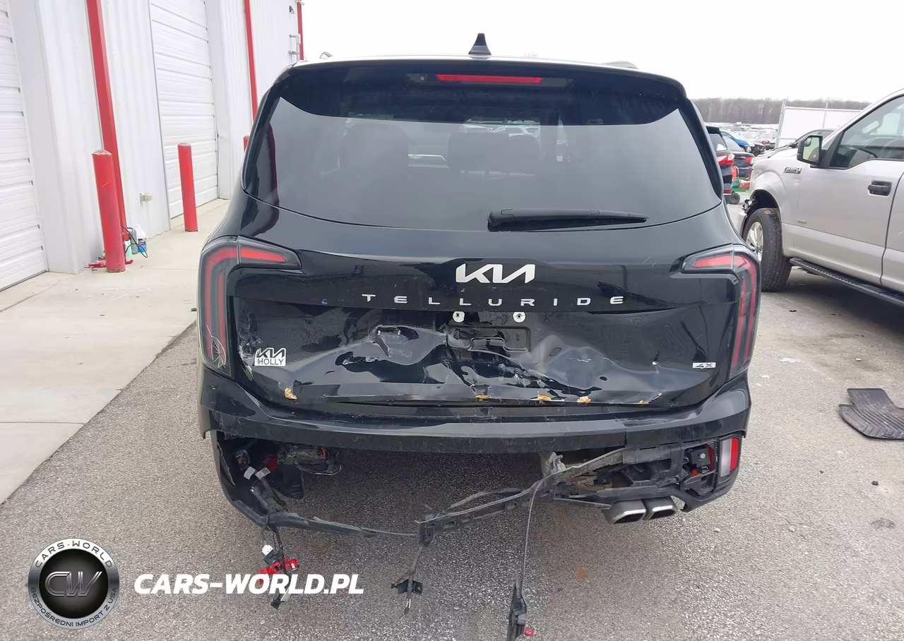 2024 Kia Telluride Sx Prestige VIN:5XYP5DGC0RG417228 - 16