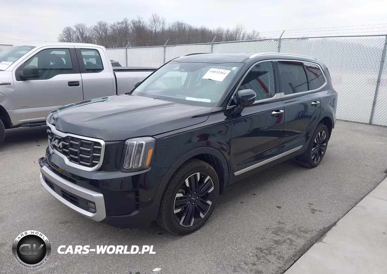 2024 Kia Telluride Sx Prestige VIN:5XYP5DGC0RG417228 - 2